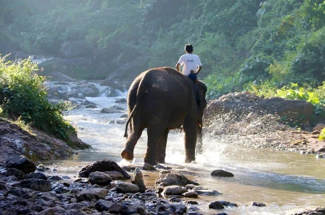 Green Hills Valley - experimentar montar a elefantes en Birmania