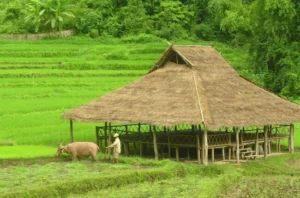 Laos - El Kamu Lodge