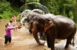 Tailandia - Chiang Mai
