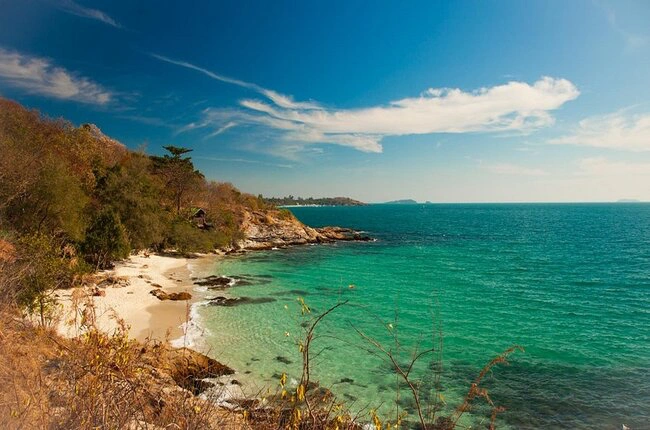 Explora la esencia de Bangkok y Koh Samet