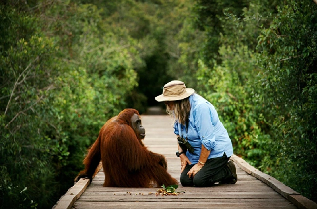 Campamento Leakey - En Indonesia