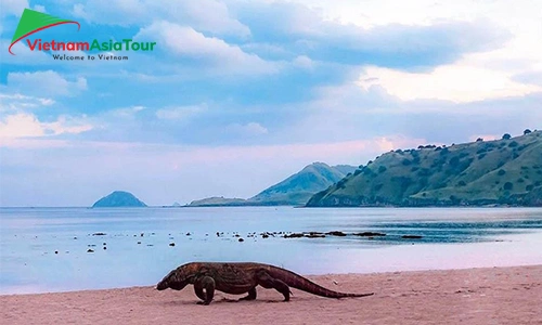 Komodo - Isla en Indonesia