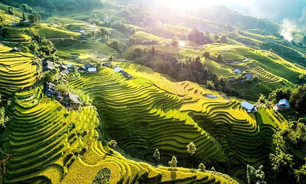 Terrazas arrozales en Sapa