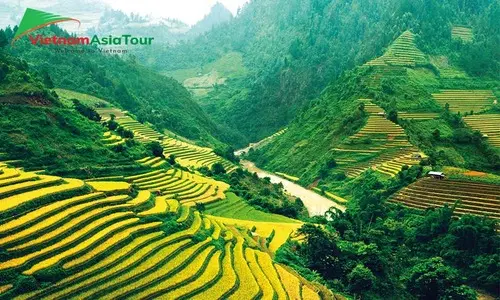 Las terrazas arrozales en Sapa