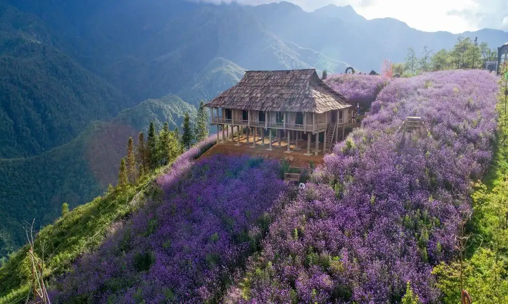 Valle de Muong Hoa - Sapa