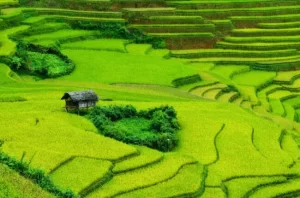 Mai Chau - En buen tiempo