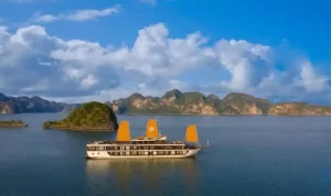 Crucero Peony