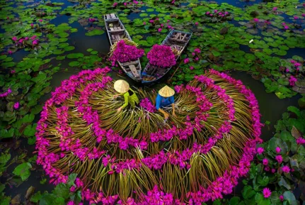 Mekong - Vietnam