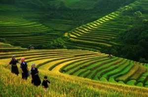 Banner -Giang Ta Chai