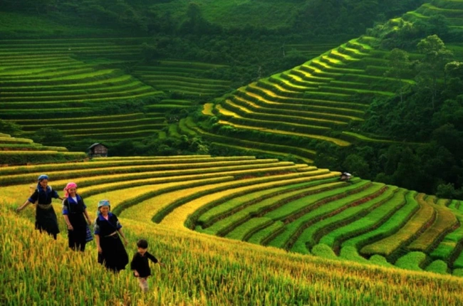 Explora Sapa: Un viaje de trekking emocionante