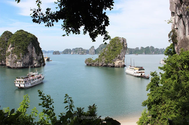 Ha Long - Hacer un tour