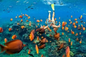 Phu Quoc - Hacer buceo en Phu Quoc
