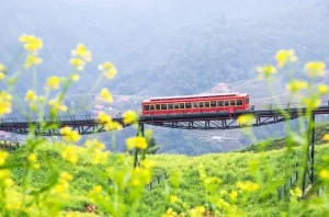 Sapa - Una belleza inolvidable