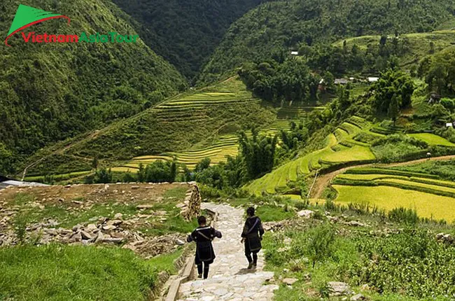 Explora Sapa: Un viaje de trekking emocionante