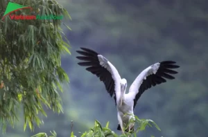 Thung Nham en Vietnam