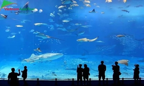 El Museo Oceanográfico - Nha Trang