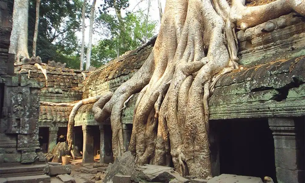 Maravillosa Ta Prohm