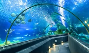 Museo Oceanográfico - Nha Trang