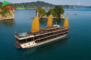 Peony Cruise