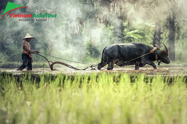 Viaje clásico en Vietnam de 14 días