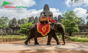 Montar en elefante en un clima soleado en camboya (1)
