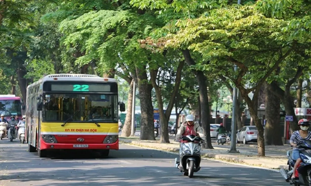 Moverse en los transportes públicos