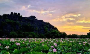 Ninh Binh - Primavera
