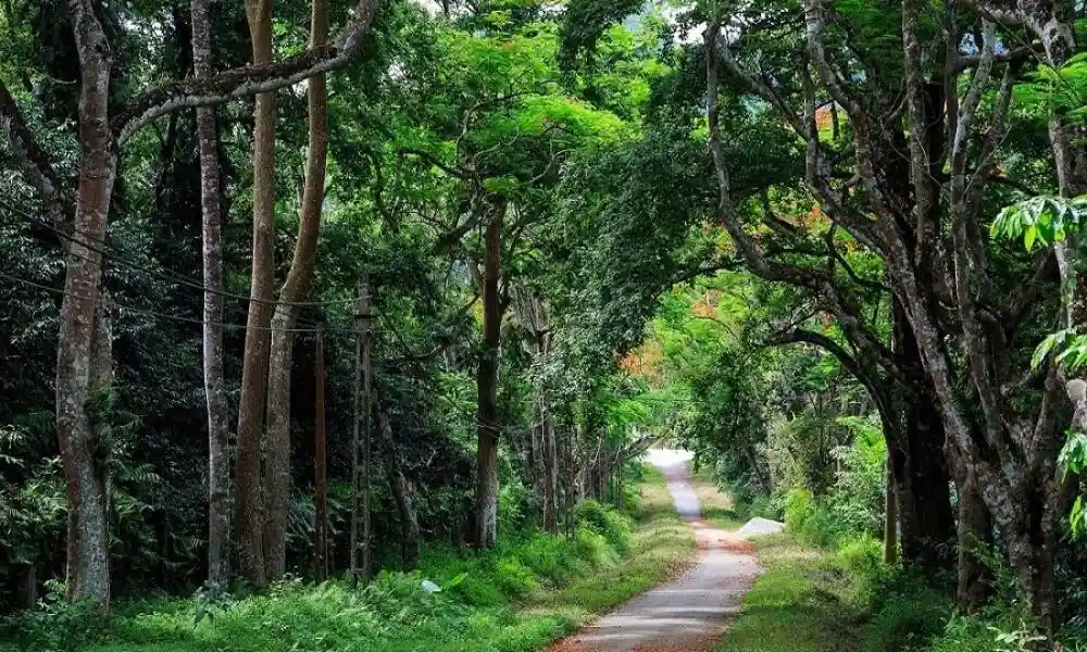 Parque Nacional de Cuc Phuong - Ninh Binh