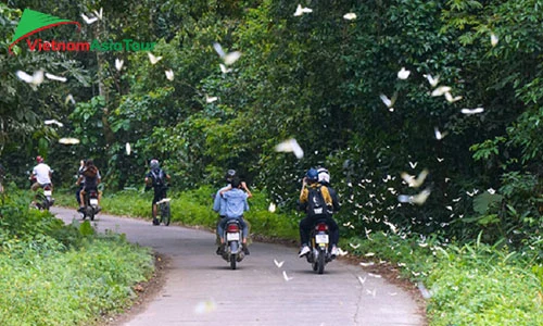 Parque nacional de Cuc Phuong