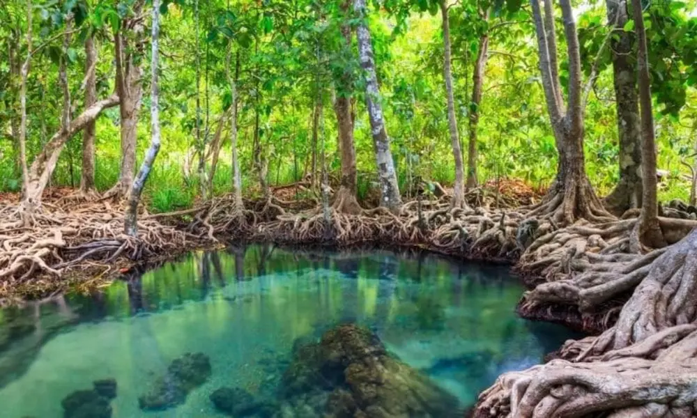 Ao Luk Tailandia