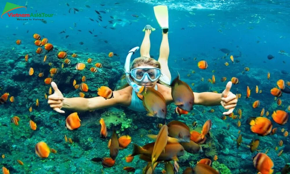 Bucear en Phuket - Tailandia
