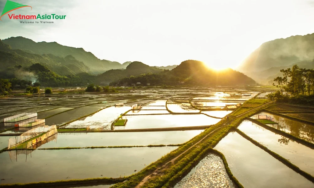Campos Mai Chau en julio