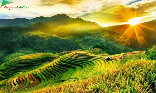 Campos en terrazas de Mu Cang Chai