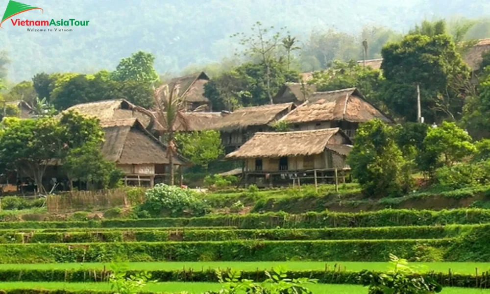Casas de las tailandesas blancas