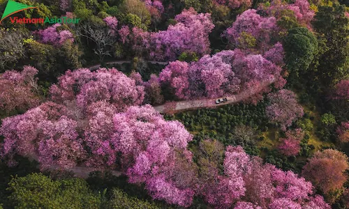 Chiang Mai en la temporada seca