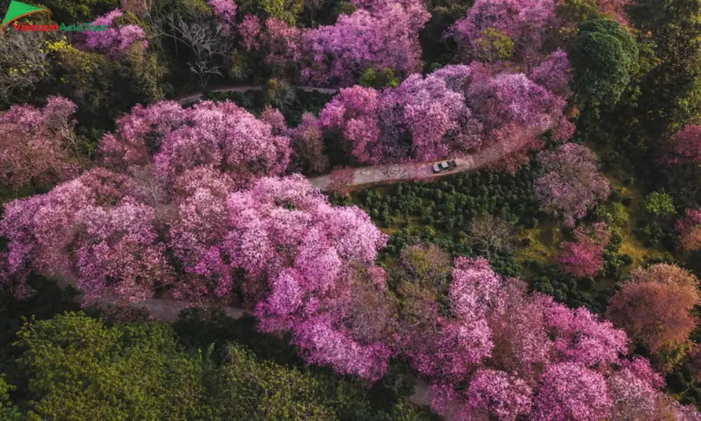 Chiang Mai en temporada seca