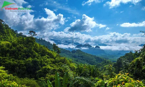 El bosque de Khao Sok