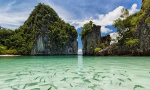 Koh Hong-