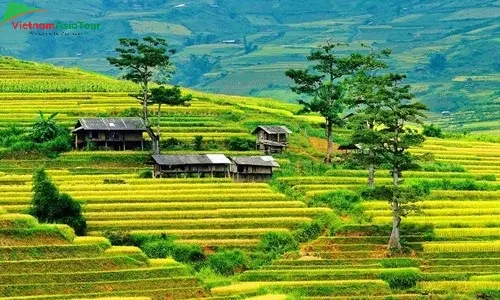 La belleza de Mu Cang Chai