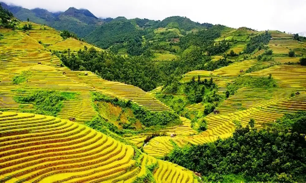 Mai Chau en verano