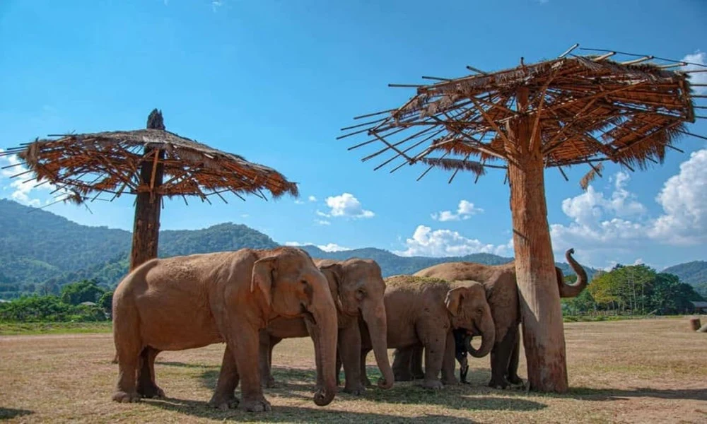 Parque Natural de los Elefantes-