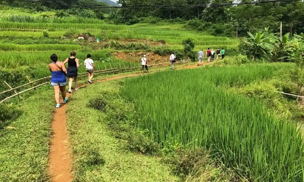 Senderismo en Pu Luong