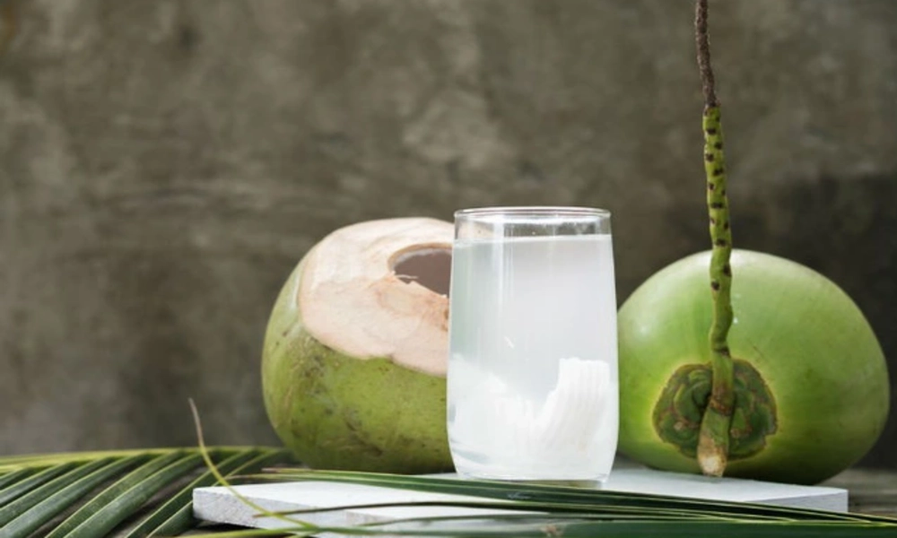 Bebida tropical de coco