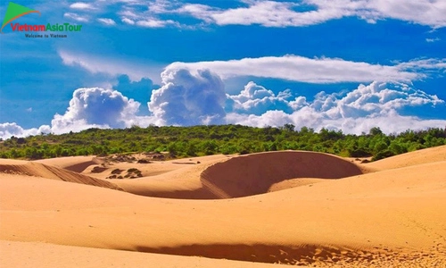 Dunas de arena voladoras