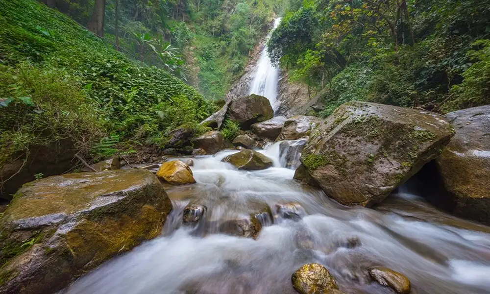 Cascada belleza