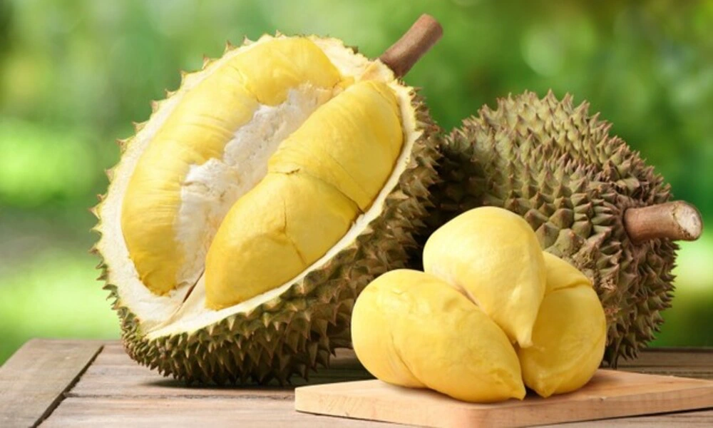 Durian vietnamita fresco