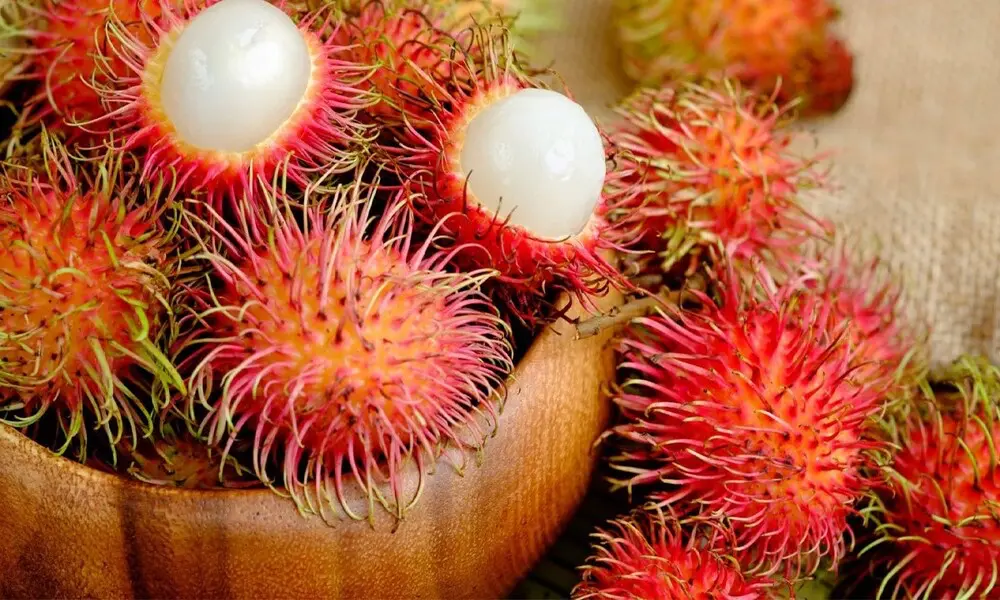 Fruta de rambután con piel roja y espinas suaves