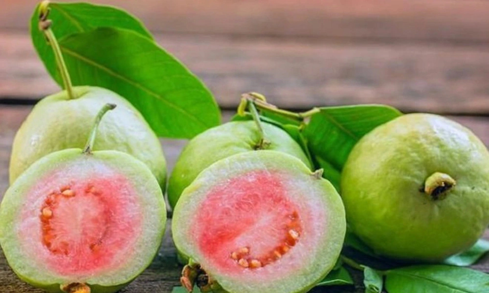 Guayaba fresca de Vietnam