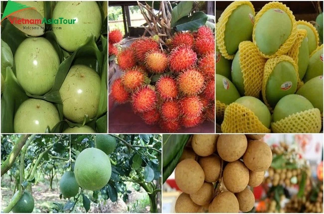 10 frutas exóticas de Vietnam que deberías probar