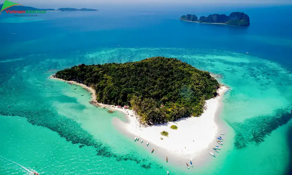 Bamboo island